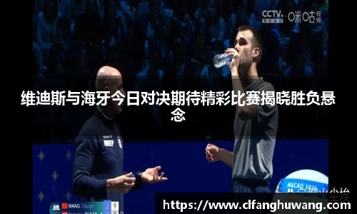 维迪斯与海牙今日对决期待精彩比赛揭晓胜负悬念