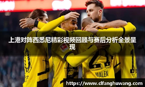 上港对阵西悉尼精彩视频回顾与赛后分析全景呈现