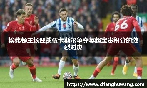 埃弗顿主场迎战伍卡斯尔争夺英超宝贵积分的激烈对决